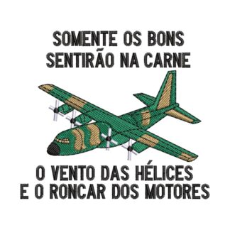 AVIÃO 2