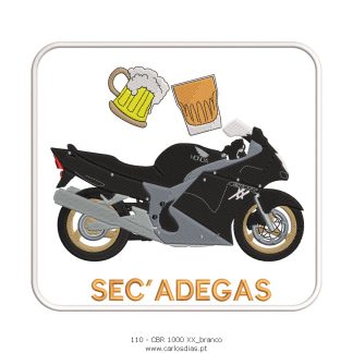 CBR 1100XX - sec adegas